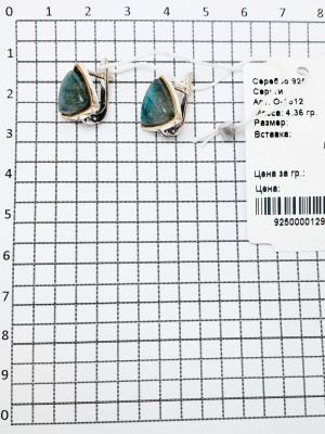 О-1512ла Серьги (Ag 925)